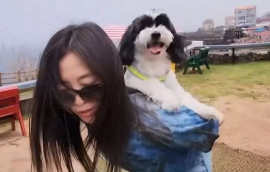 장필수 애견호텔 매장