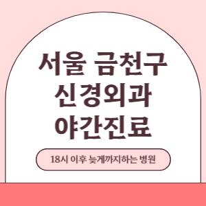 서울 금천구 야간진료 신경외과 병원 (18시 이후 늦게까지하는 병원)
