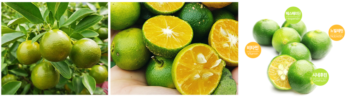 깔라만시의 효능