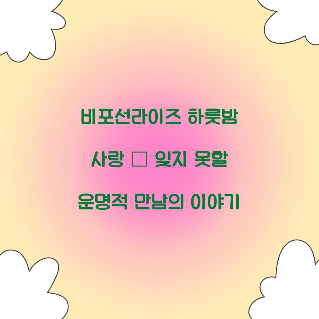 비포선라이즈 하룻밤 사랑