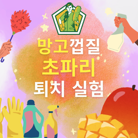 망고껍질 초파리 퇴치 실험에 대해 소개합니다.