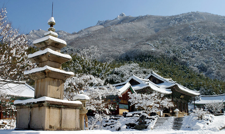 표충사 사계 (밀양 8경)