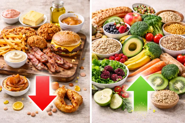 고지혈증 식이요법