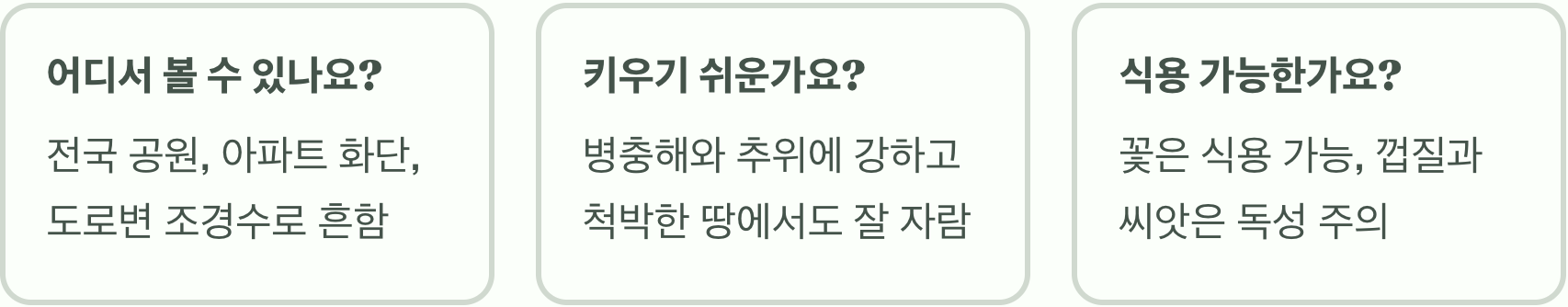 밥풀이 붙은 듯 신기한 꽃, 박태기나무의 모든 것