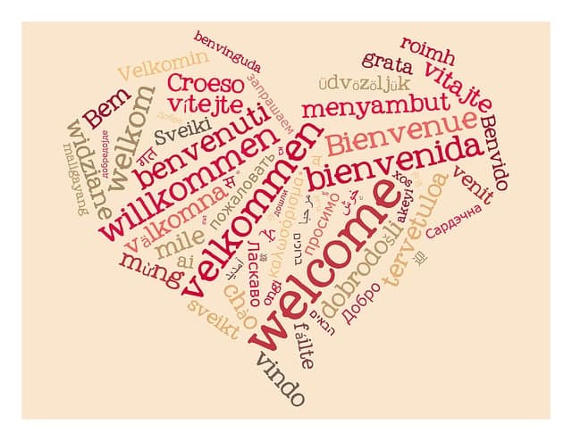 사라져가는 언어들