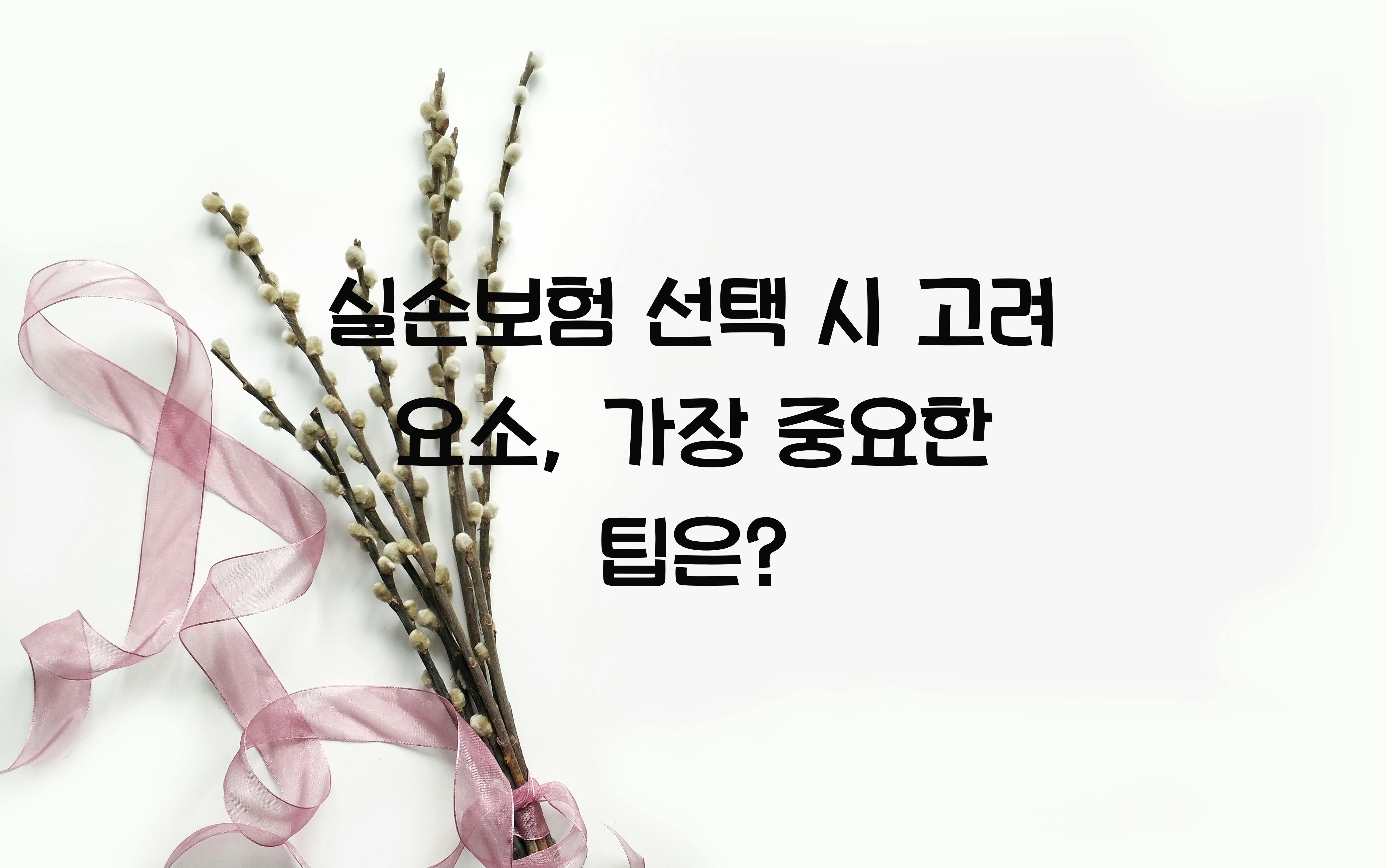 실손보험 선택 시 고려 요소