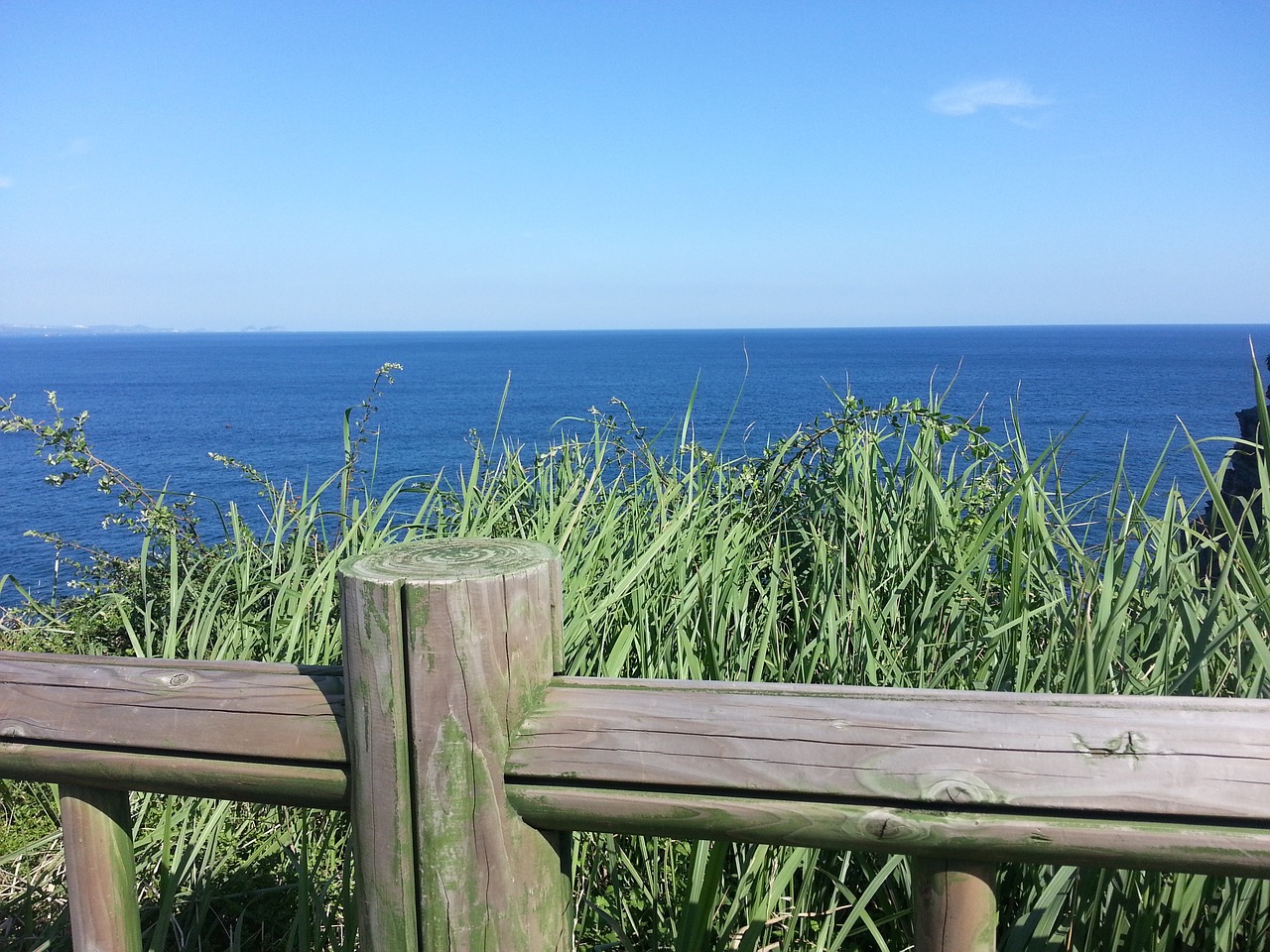 제주 올레길