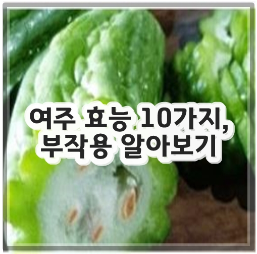 여주 효능 10가지, 부작용 알아보기
