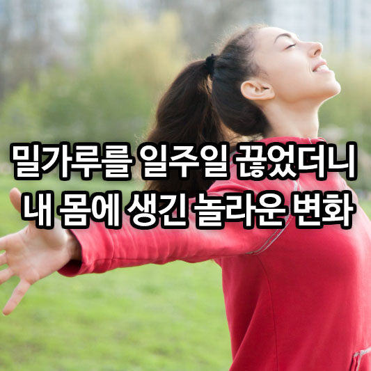 밀가루를 일주일 끊었더니 내 몸에 생긴 놀라운 변화