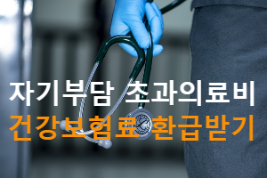 자기부담초과의료비-환급-국민건강보험