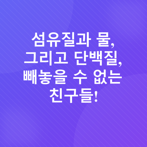 운동없이 살 빼는 방법_3