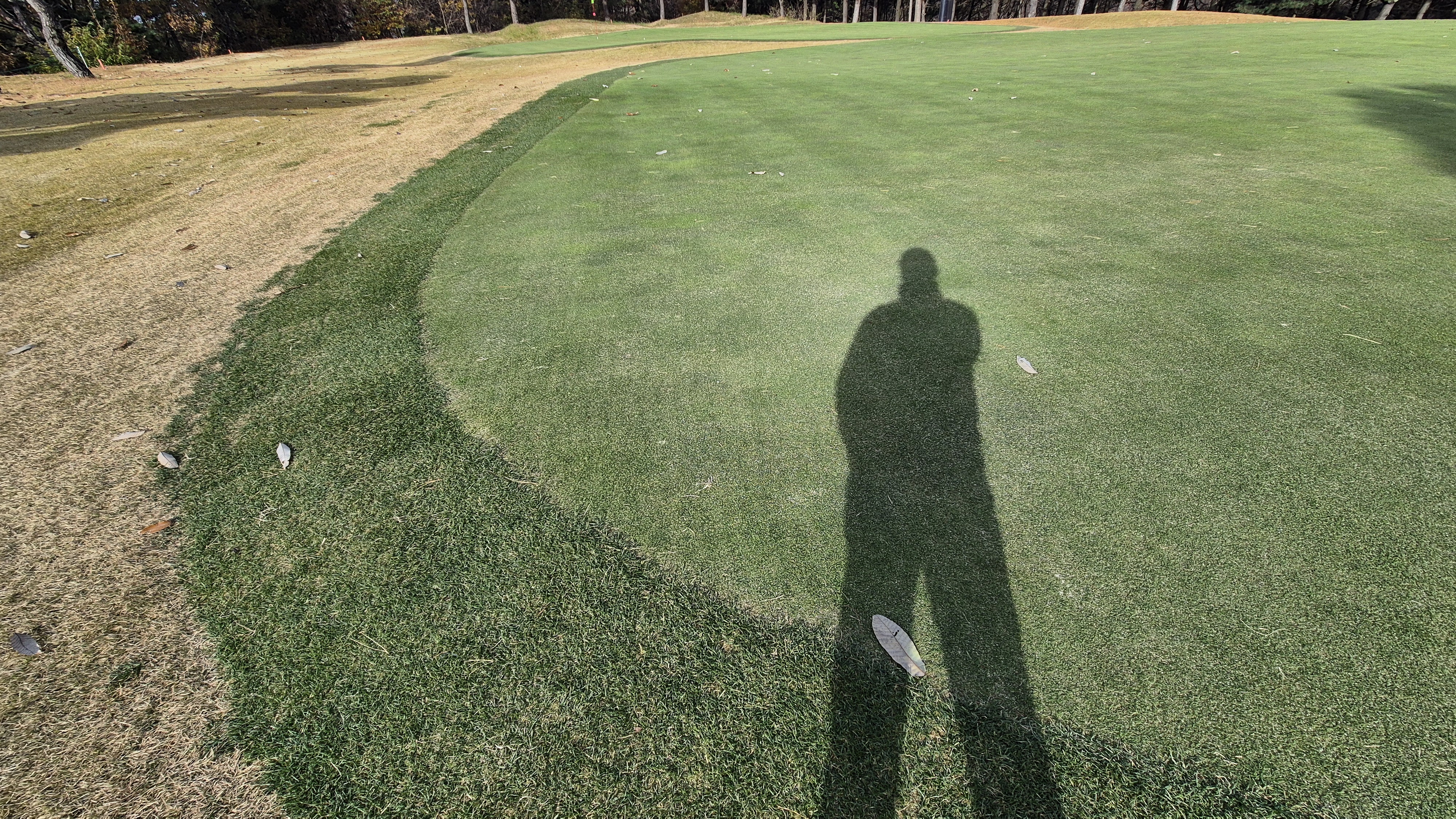 세종에머슨cc 밸리-마운틴 그린관리상태