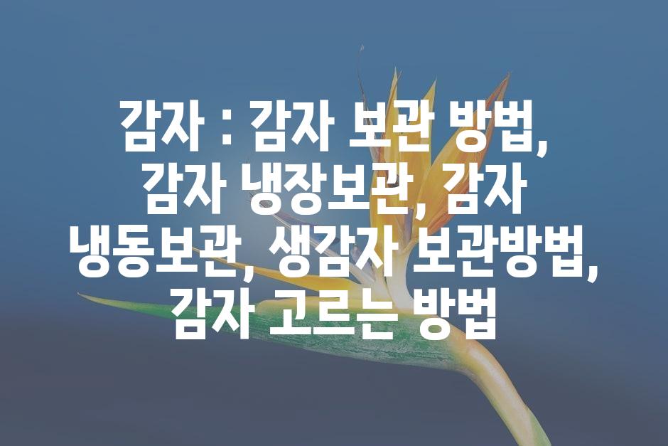 샘플 (45)