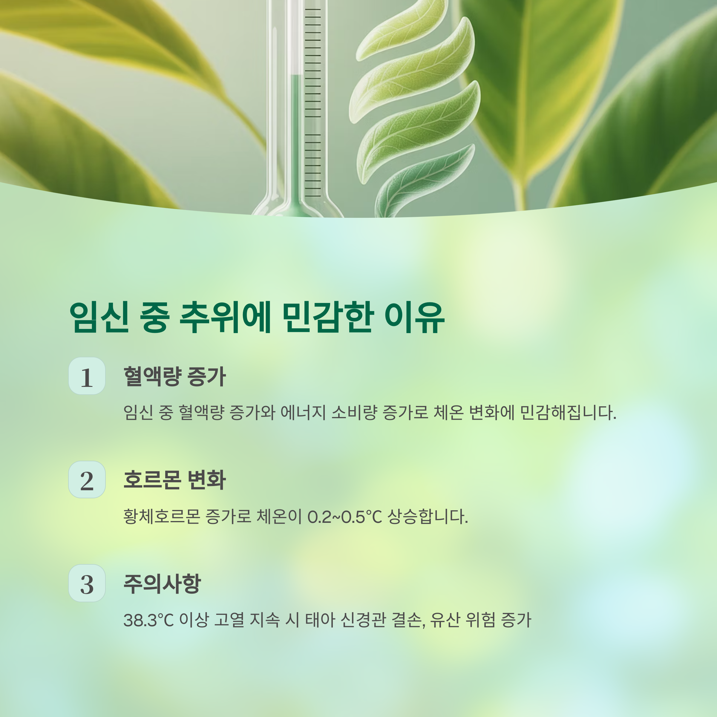 임신 중 체온 변화 – 혈액량과 호르몬 영향