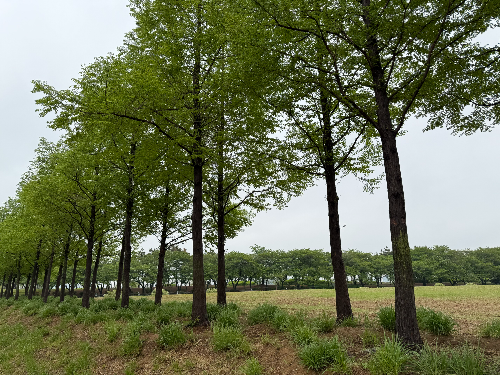 시흥 갯골생태공원 해질녁 콘서트