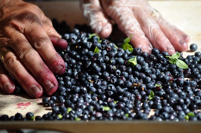 농어민수당 농외소득 어디까지?