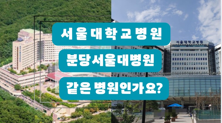 서울대학교병원과 분당서울대병원의 차이점