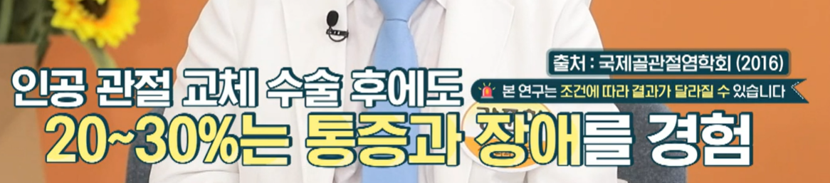 가자추출물 효능