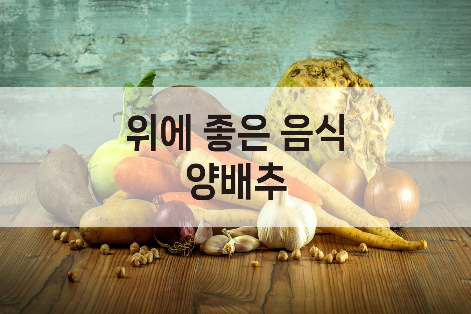 양배추