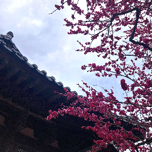 양산 통도사 여행 사진