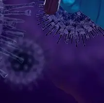 동남아 베트남 코로나19 재유행