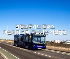 버스 이미지