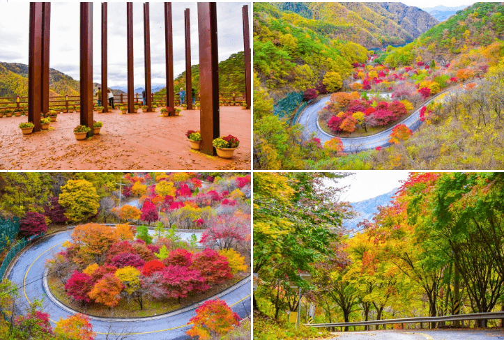 2024 단풍절정시기 지도 명소 설악산 축제 가을 지역별 시기 정보 화담숲 단풍