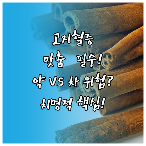 고지혈증 환자를 위한 맞춤 차 선택 ..