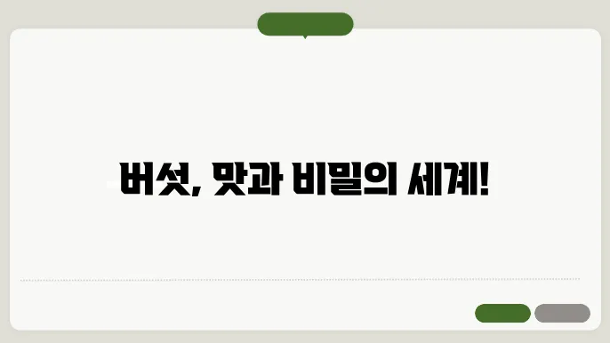 버섯 종류