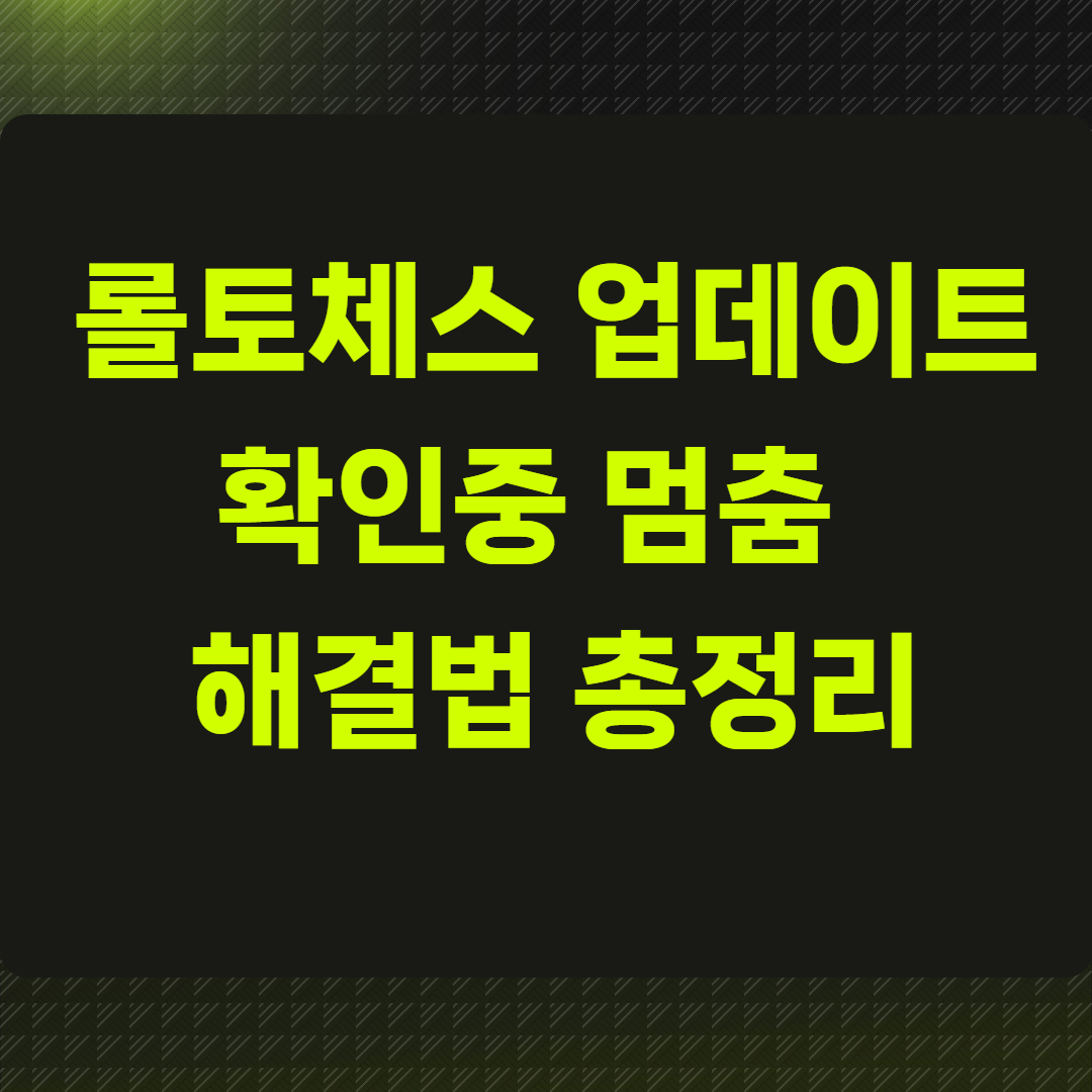 롤토체스 업데이트 확인중 멈춤?