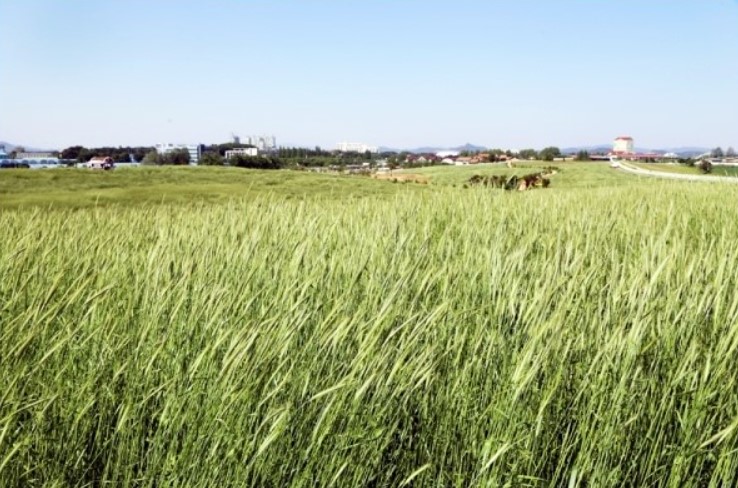 여행과 데이트하기 좋은 곳