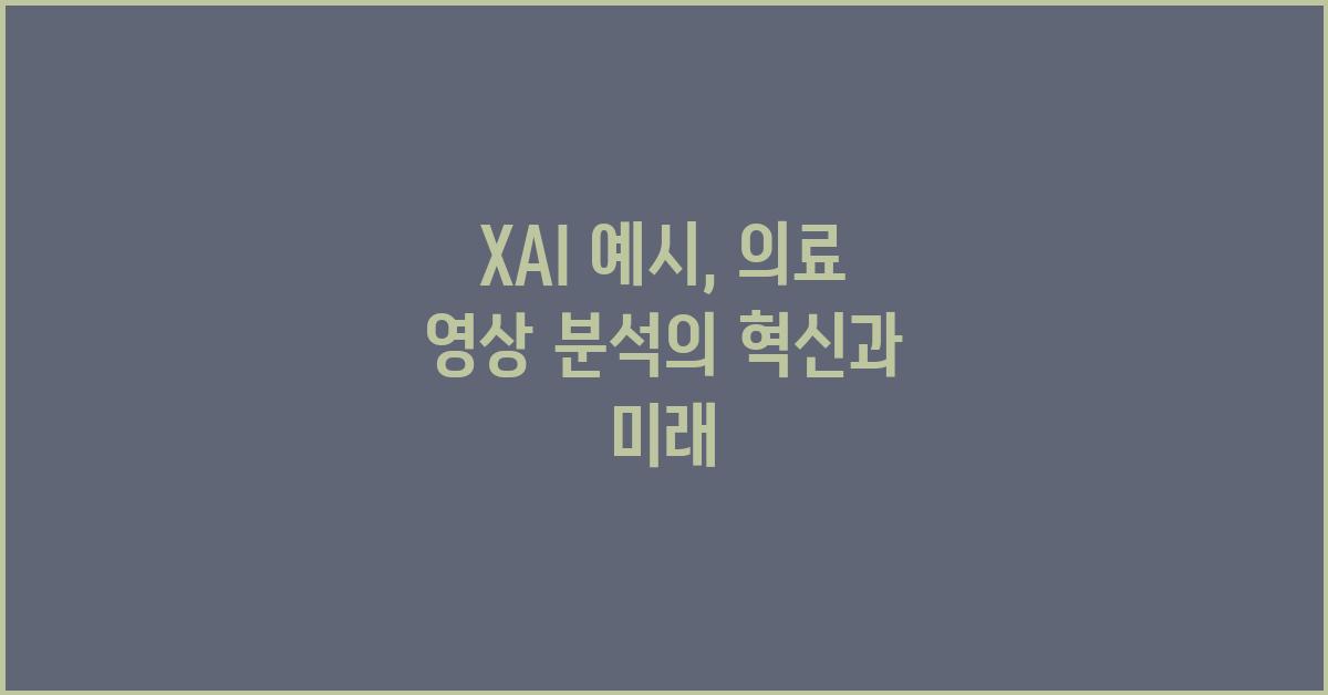 XAI 예시:  의료 영상 분석의 새로운 지평