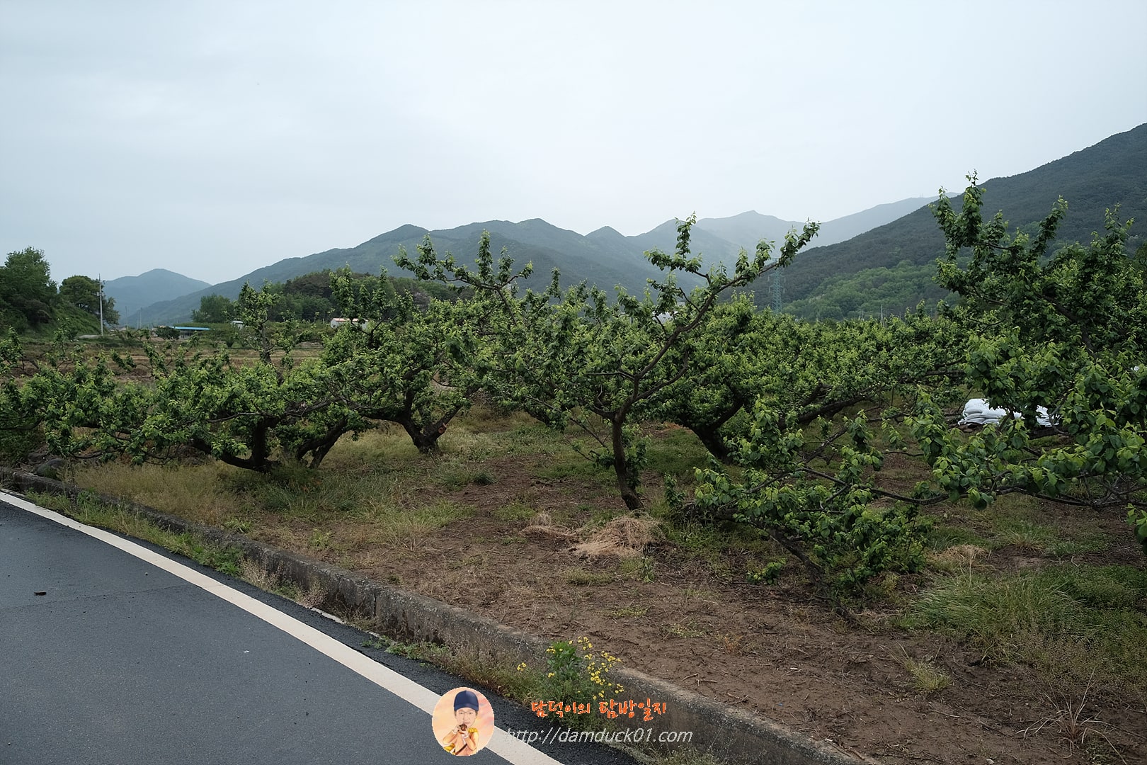 죽록정사, Jukrokjungsa stay(Korean traditional style house)