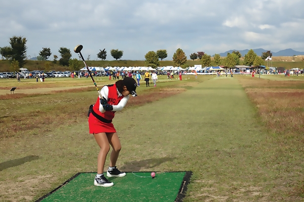 파크골프의 여러가지 빅데이터들 (2024년의 파크골프 성장)