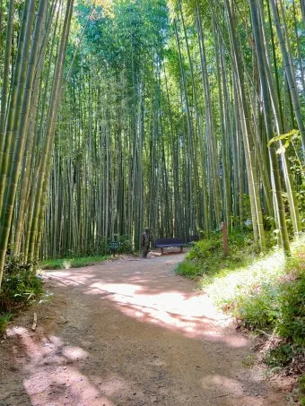 담양 맛집 베스트10 진짜 현지인만 아는곳_18