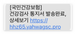 건강보험 안내 피싱문자