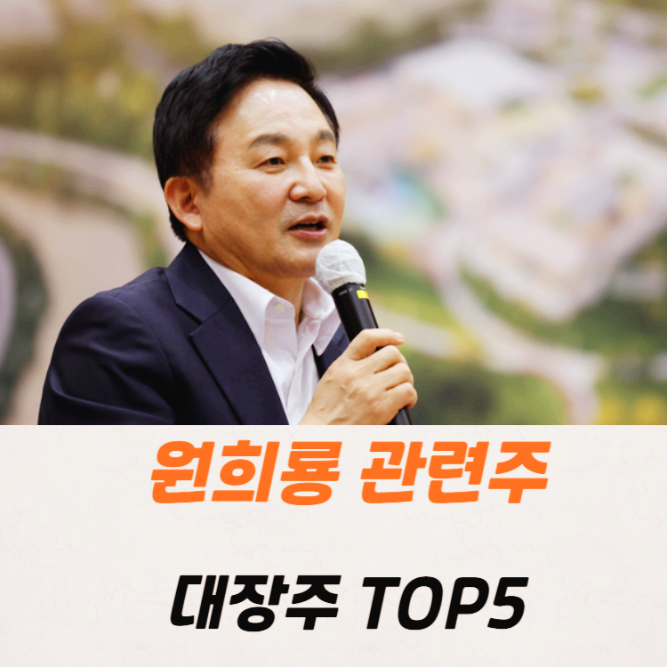 원희룡 관련주 대장주 테마주 TOP5