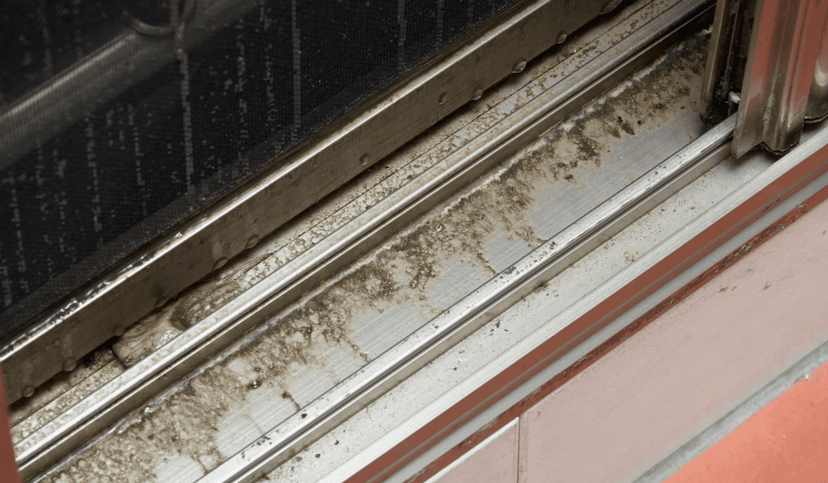 베란다_곰팡이_제거법_20