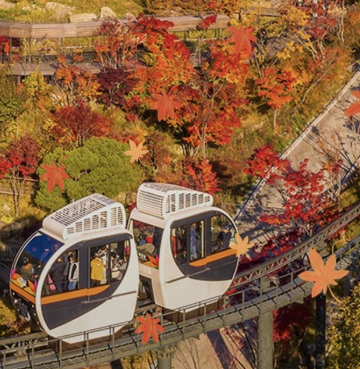 화담숲 예약 3분만에 성공하는 꿀팁