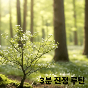 + 지금 당장 쓰는 3분 진정 루틴(초간단)