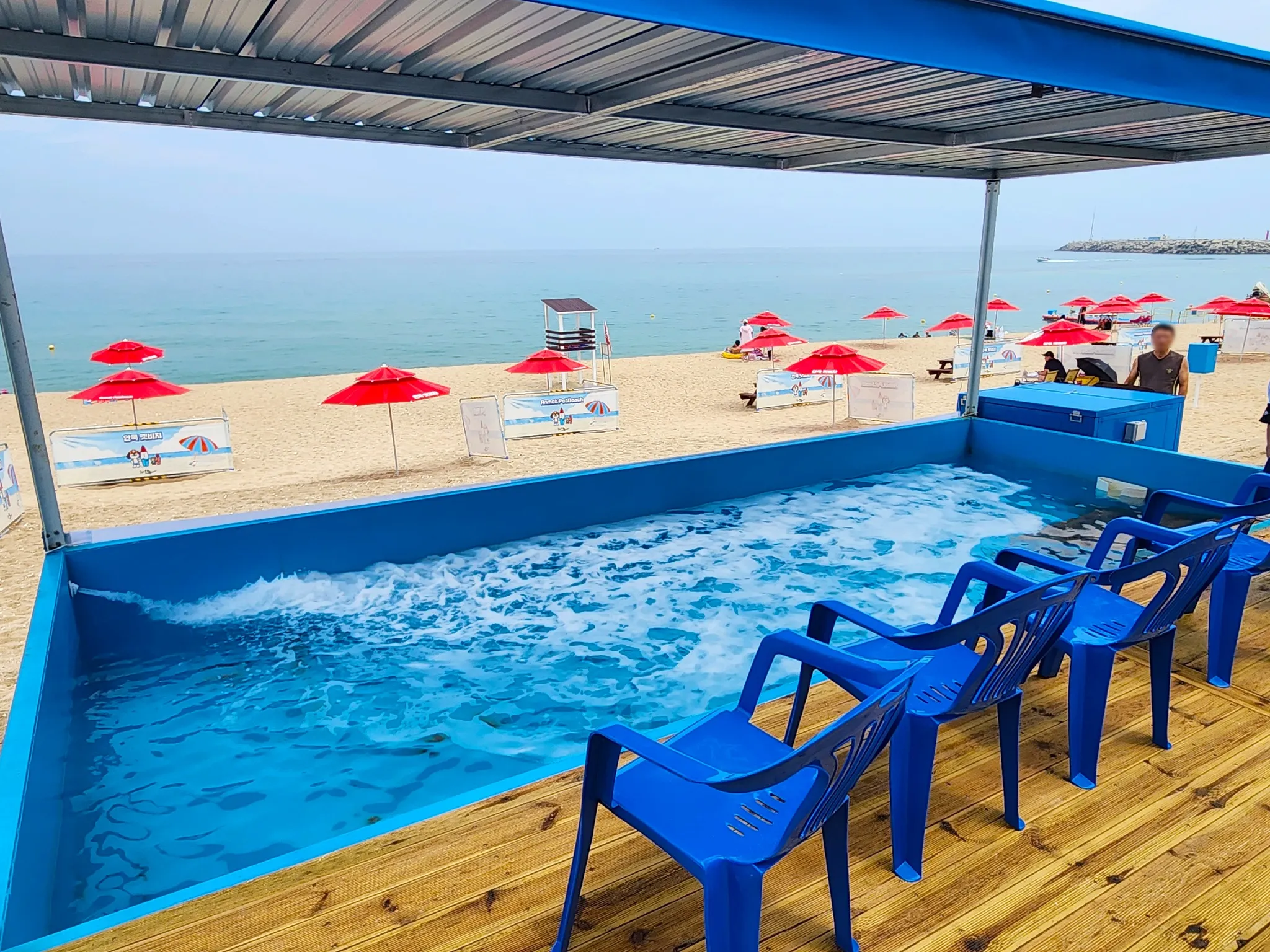 안목 반려견 전용 해변