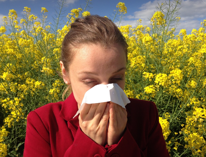 봄철 알레르기, 이렇게 극복하자