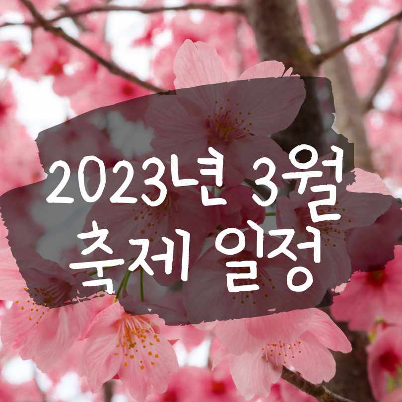 2023년 3월 축제 일정