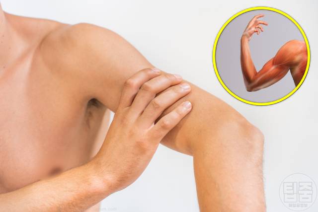 남자 당뇨 증상 특징 내분비내과 전문의 피셜 근육 감소