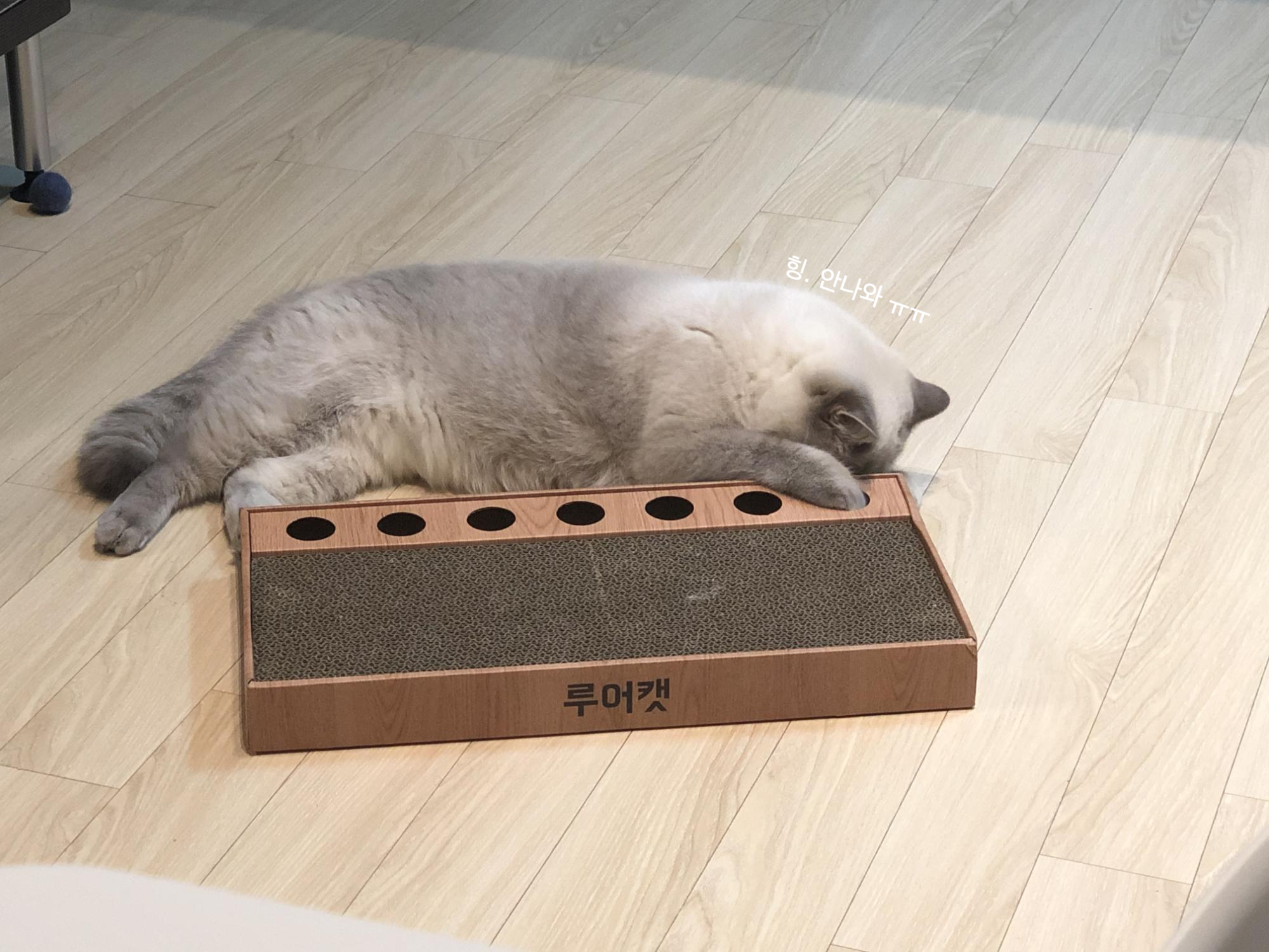 스크래쳐 추천5