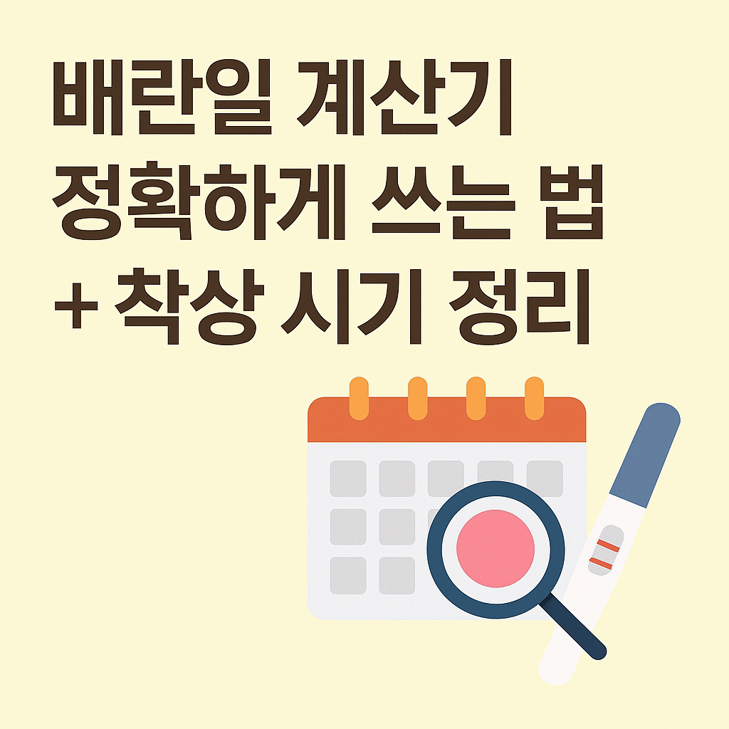 배란일 계산기 정확하게 쓰는 법 + 착상 시기 정리
