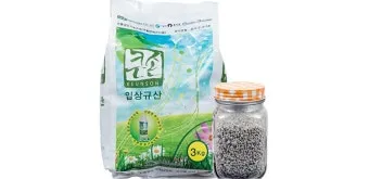 김장무 웃거름 주기 비료주는 시기와 방법을 안내_20