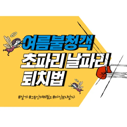 초파리 날파리 없애는법