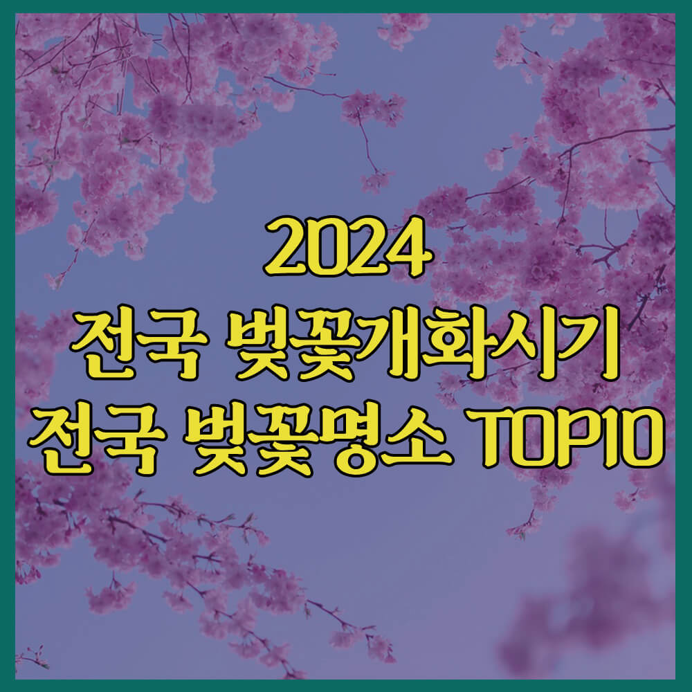 2024벚꽃개화시기, 전국벚꽃명소top10, 여의도벚꽃축제, 윤중로벚꽃길, 석촌호수벚꽃, 진해군항제, 경포벚꽃축제, 일산호수공원벚꽃