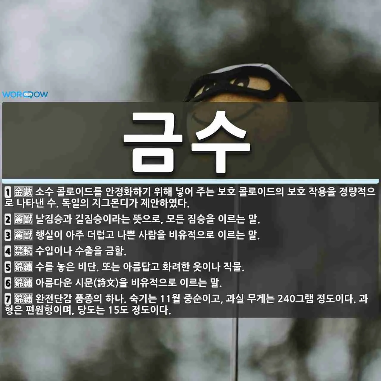 금수 뜻 유래 한자 비슷한 말 예문 영어 속담 반대말_2
